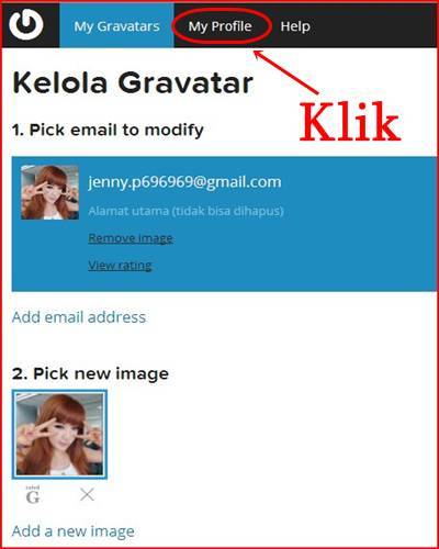 gravatar 9